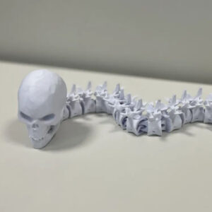 Articulated Spine & Skull STL – Anatomical Flexi Model | 3D Printable Medical Sculpture