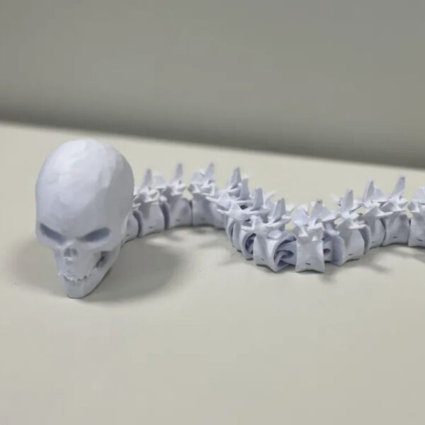 Articulated Spine & Skull STL – Anatomical Flexi Model | 3D Printable Medical Sculpture