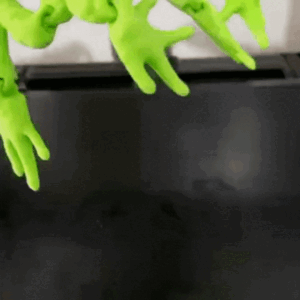 CURURU Cane Toad STL – Ultra-Realistic 3D Printable Amphibian Model | Detailed Toad Figurine