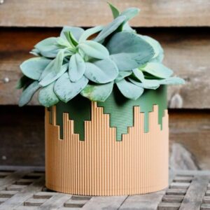 Dual Colored Ceramic Pot – Stylish & Modern Planter for Home & Office