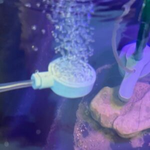 3D-Printable Aquarium Airstone Bubbler – Customizable Oxygen Diffuser for Fish Tanks