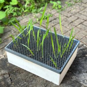 Katzengrastopf – 3D Printable Self-Watering Cat Grass Planter