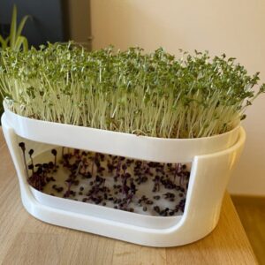 Tiered Planter for Sprouts & Watercress – Stackable Germination System