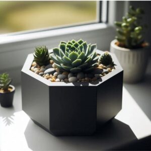 Design Octagonal Succulents Planter – Modern Geometric Pot for Indoor Plants