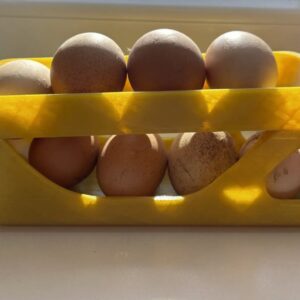 Egg Dispenser – Modular & Stackable Storage Solution