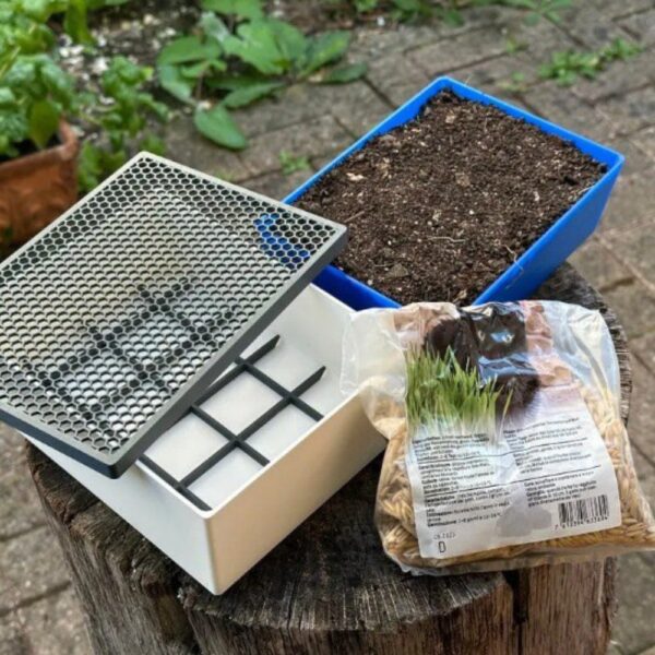 Katzengrastopf – 3D Printable Self-Watering Cat Grass Planter - Image 3