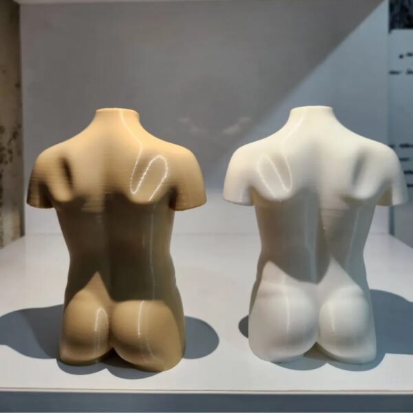 Human Torso Anatomy STL – 3D Printable Medical Model (Detailed Organs & Musculature for Education/Art) - Image 2